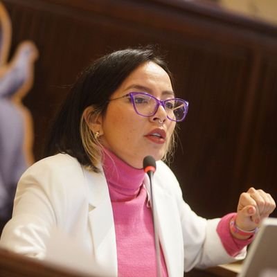 La congresista Jennifer Pedraza Sandoval, calificó la aprobación de la Reforma a la Salud con "graves falencias"