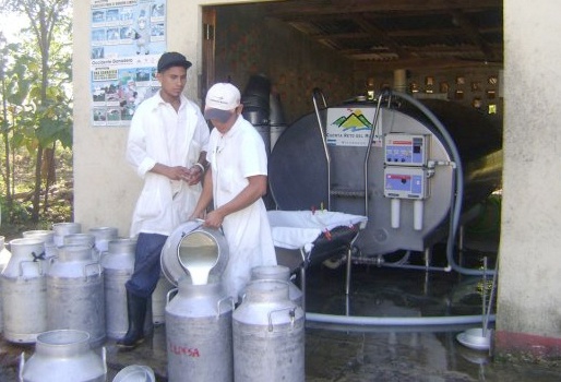 Así se movió el acopio de leche en Córdoba y Sucre