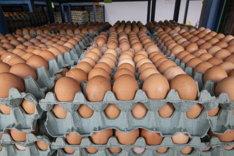 Huevos a Cuba