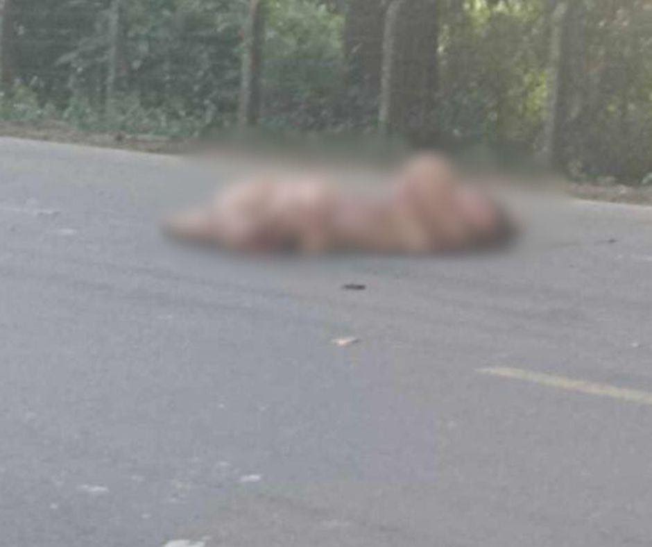 Hallan el cuerpo de una mujer en la vía que conduce de La Apartada- Montelíbano