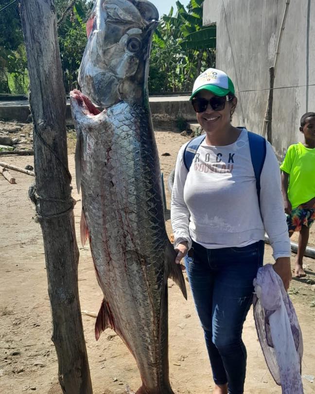 Un sábalo de 85 kilos fue atrapado en San Bernardo del Viento