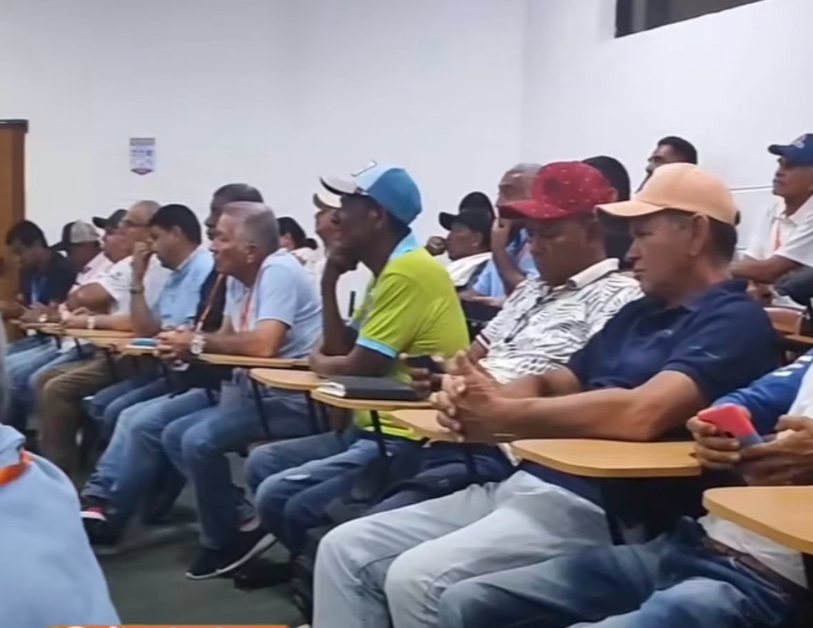 Maiceros aburridos y sin solución