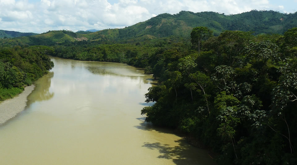 Parques Nacionales Naturales en riesgo, entre ellos el Paramillo