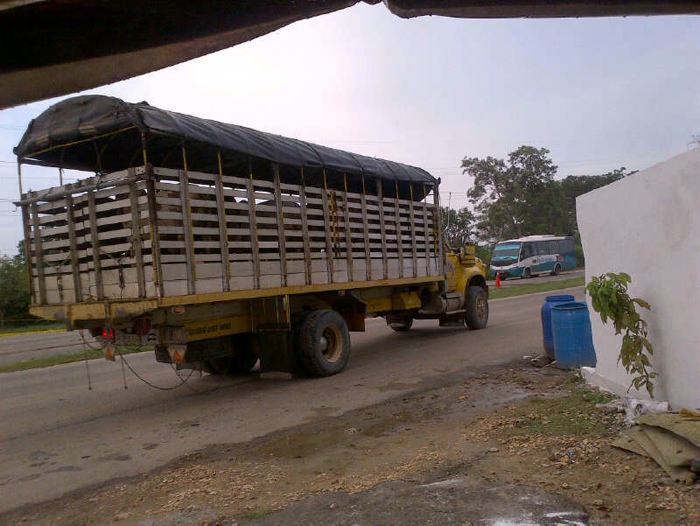 No hay permisos para mover ganado