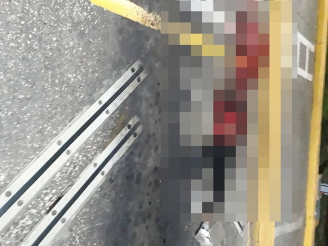 Lo aplastó una mula en la carretera