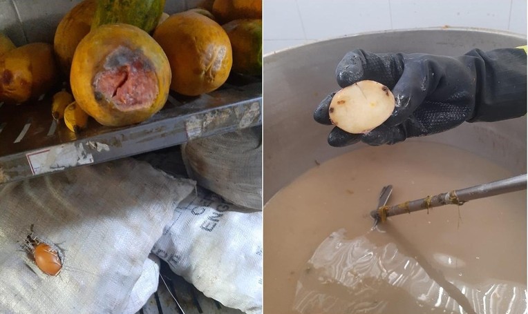 Inician indagación por irregularidades en el suministro de alimentos en la cárcel de Cómbita