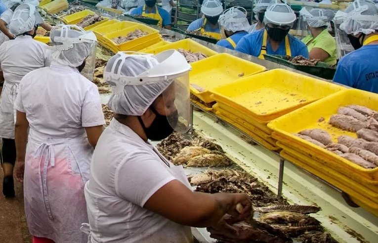 Van Camp’s estaría haciendo descuentos irregulares según los desprendibles de nómina