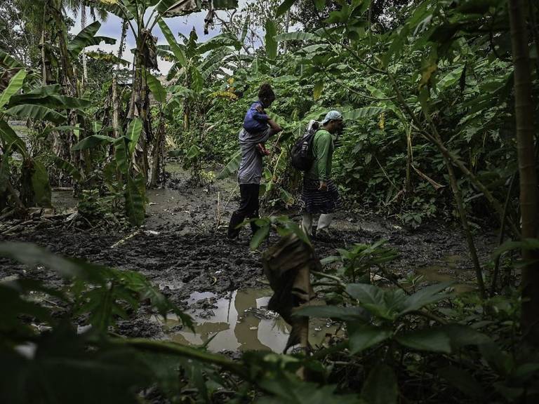 Más de 520.000 migrantes cruzaron selva de Darién en 2023