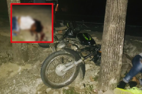 Motociclista chocó contra un árbol