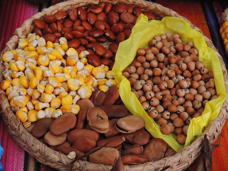 Reglamentarán uso de semillas nativas y criollas en el país