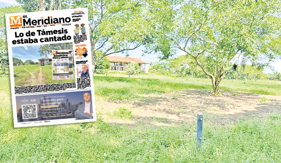 Les entregaron tierra y los dejaron solos
