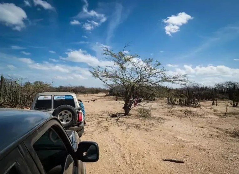 Murió niño wayuu al ser atropellado por turistas