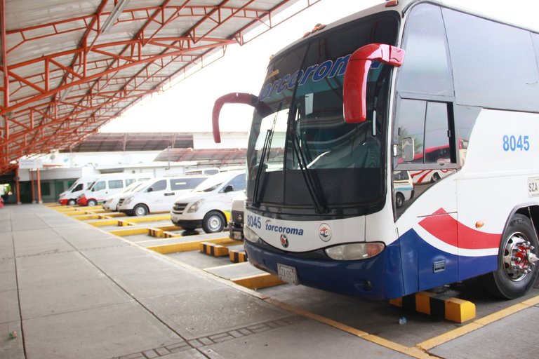 Conductores de buses entran en paro en Montería