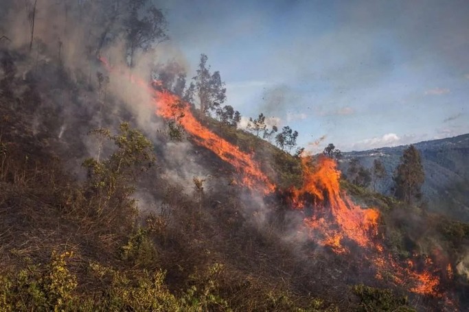 La atención de las autoridades a incendios forestales está en la lupa de la Procuraduría