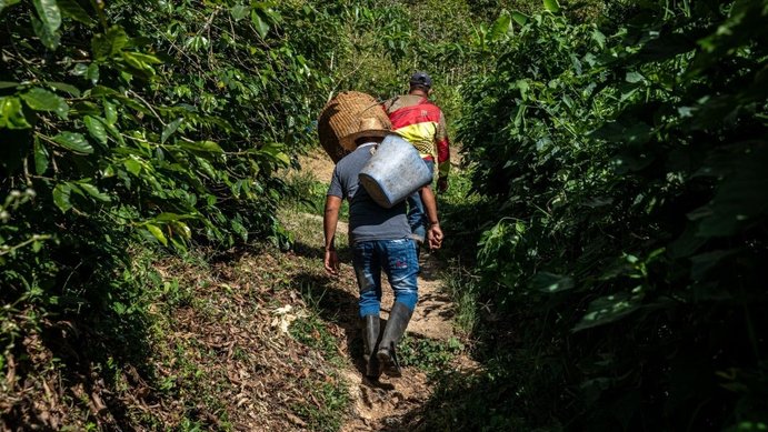El PIB rural creció 1,8% en el tercer trimestre de 2023