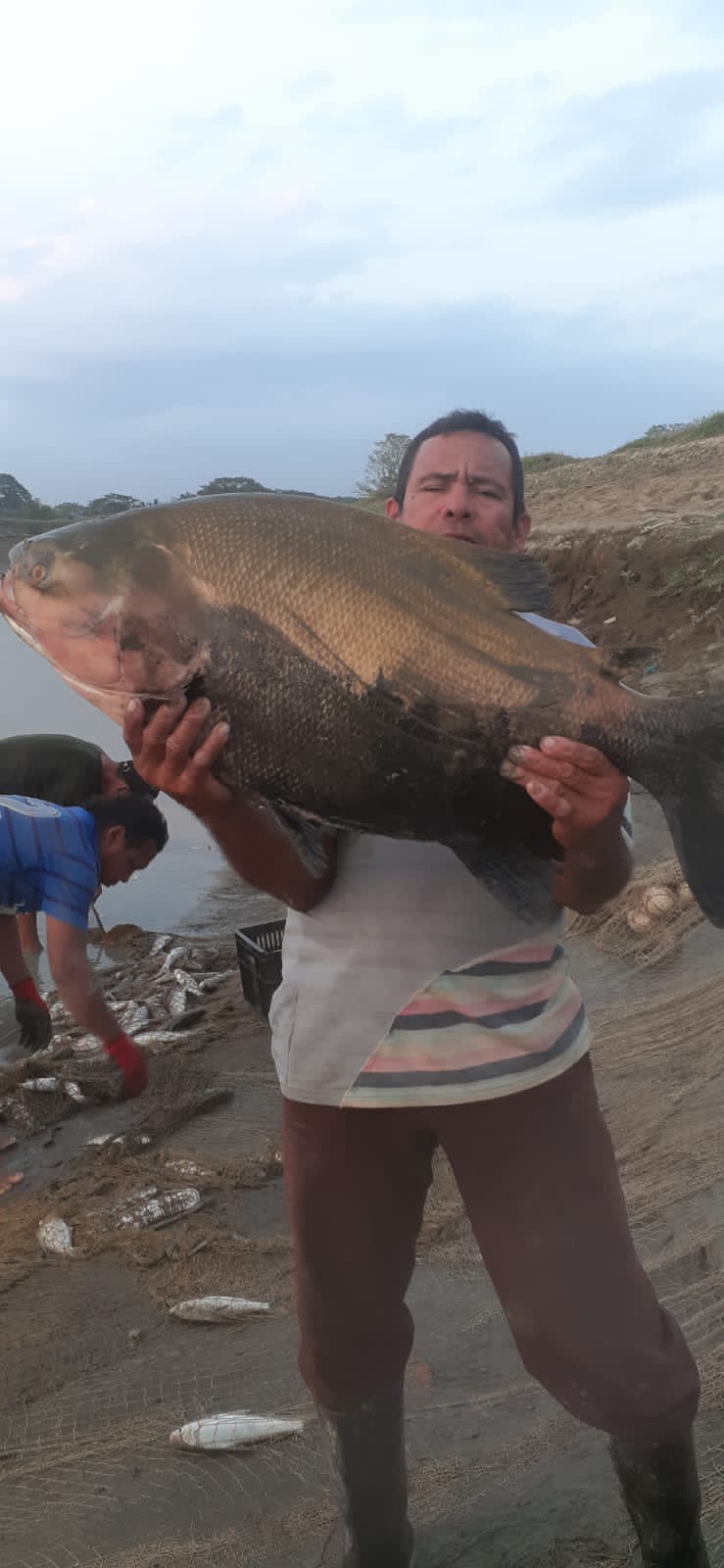 Pescador atrapó cachama de 15 kg