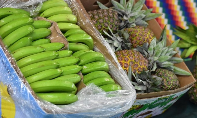 Ayudas a productores de plátano y piña