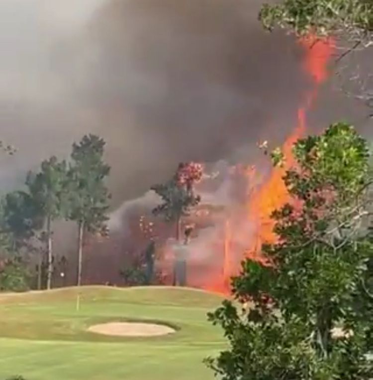 Cerca de 120 hectáreas de flora se vieron afectadas en el incendio de Ruitoque, Santander