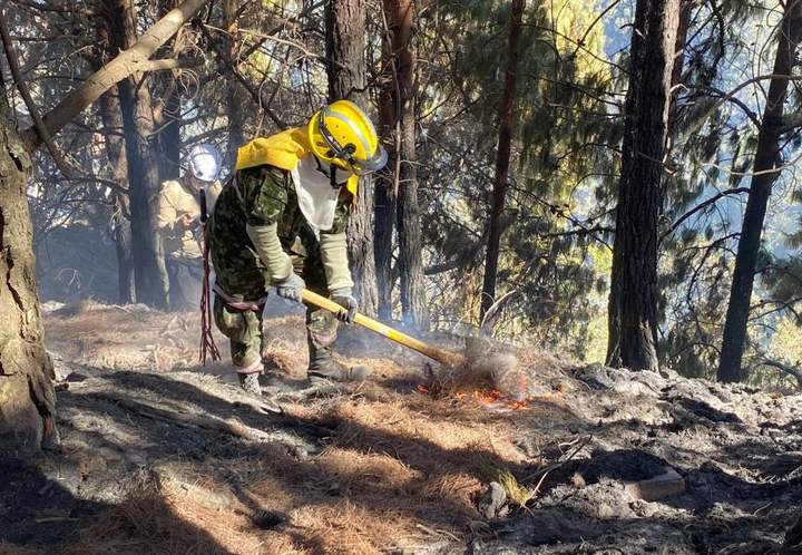 977 municipios del país entraron en niveles de alerta por incendios forestales