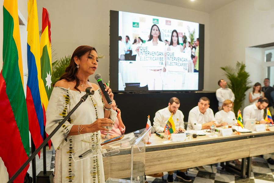 Estas fueron las cuatro propuestas que presentó la gobernadora de Sucre en la Cruzada Regional Tarifas Justas para el Caribe