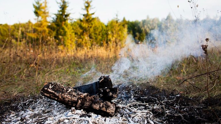 Recomendaciones por incendios forestales y altas temperaturas