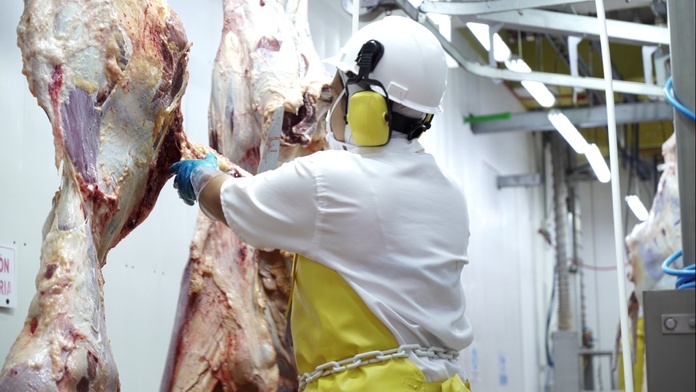 Precio del ganado cayó, pero la carne sigue cara