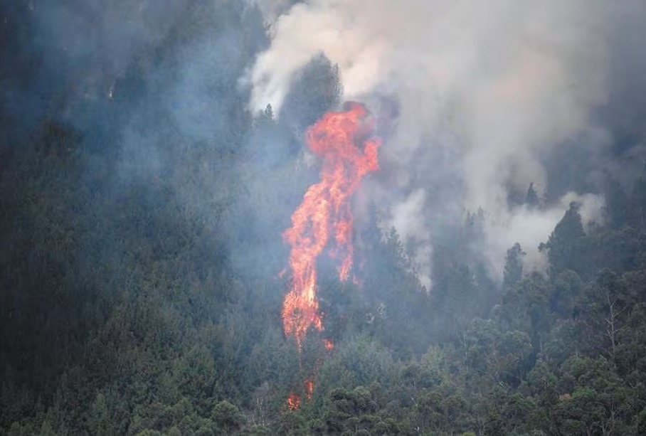 Ungrd diseña plan de acción para enfrentar al Fenómeno de El Niño