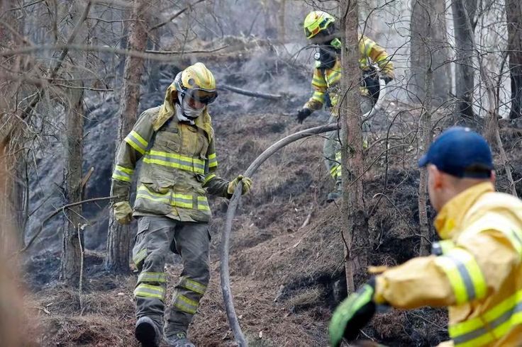 Llegan a acuerdos para mejorar trabajo en emergencias por incendios