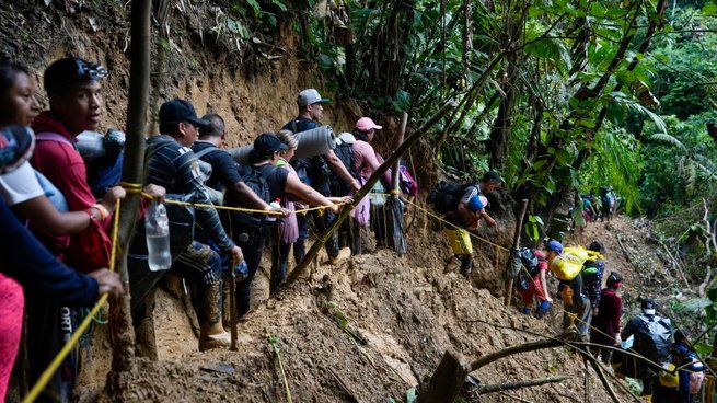 Más de 520.000 personas migrantes atravesaron la selva del Darién en el 2023