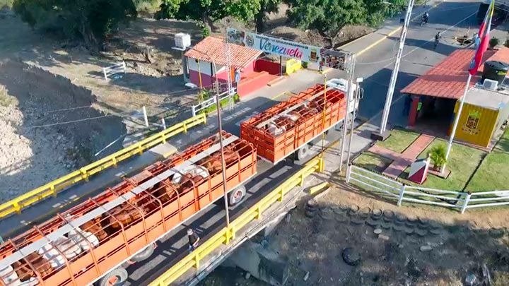 Exportan ganado bovino para Venezuela
