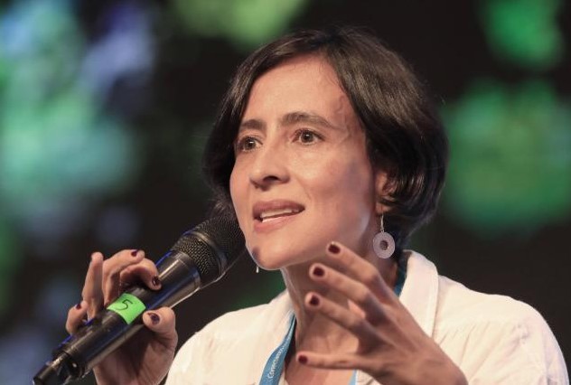 No es el momento para reforestar