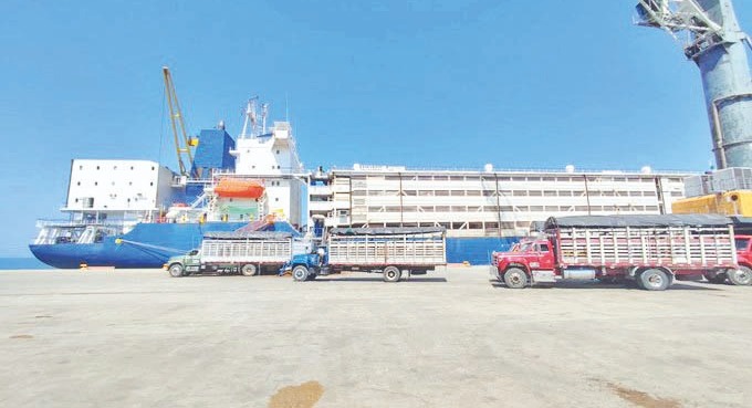 "Frenan exportaciones de ganado y será una catástrofe"