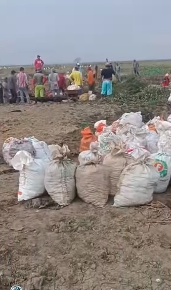 En Momil piden ayuda para sus cultivos