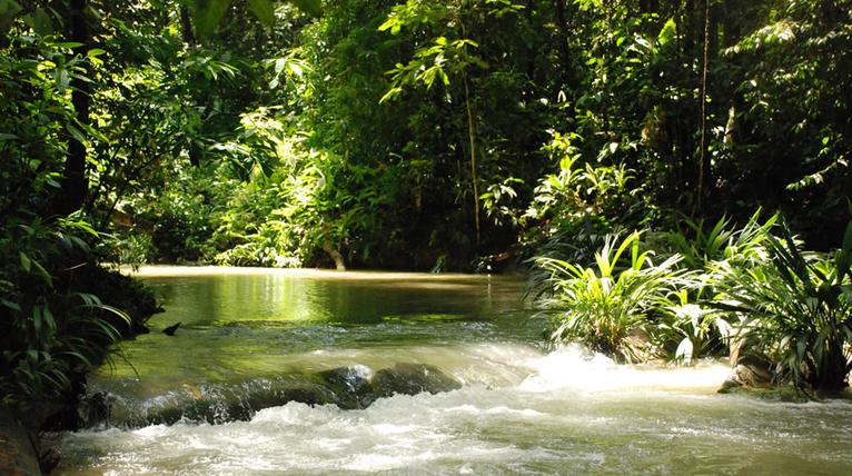 Parque Nacional Natural Paramillo, entre las zonas protegidas que estarán cerradas por El Niño