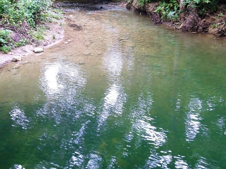 Restringen acceso a arroyos en Colosó