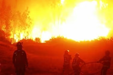 Incendios en Chile deja hasta el momento 99 muertos