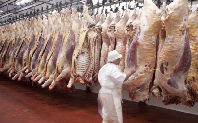 Contra todas las talanqueras, se sigue exportando