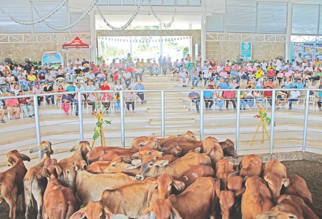 En enero se comercializó más ganado que en diciembre