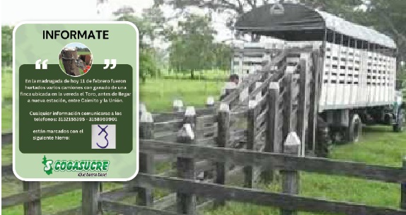 En camión se llevaron el ganado de la finca