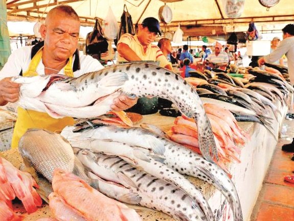 Temporada fuerte del pescado en Colombia, acompañada de El Niño