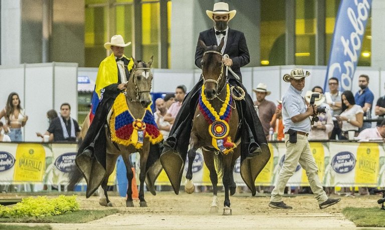 Córdoba y Sucre tienen 10 caballos en la Nacional Equina