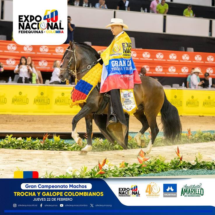 Grandes competencias en la Nacional Equina