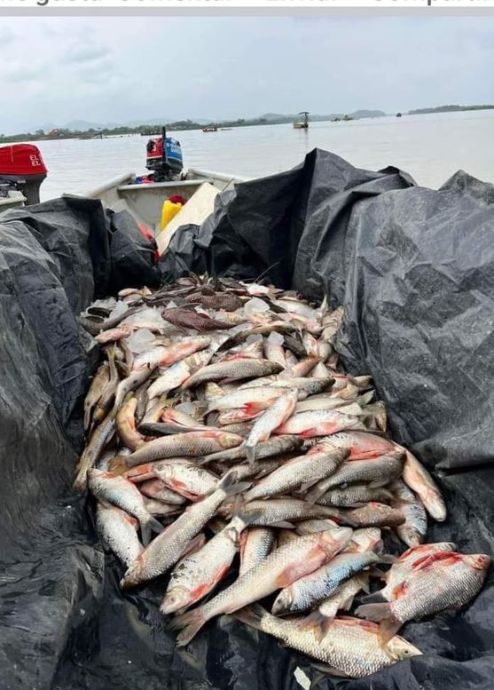 La multiplicación de los peces en Cara de Gato en plena cuaresma
