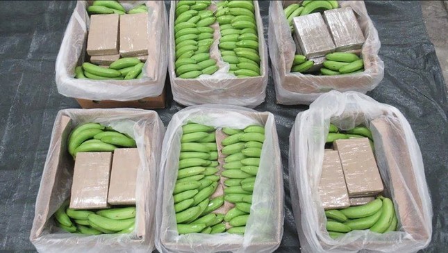 Cayó cargamento de'Narcoplátanos'