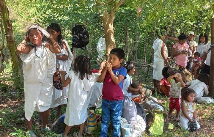 Combates entre grupos armados en La Guajira obligaron a 80 familias de comunidad indígena a desplazarse