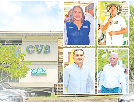 La coalición ganó en el Consejo de la CVS