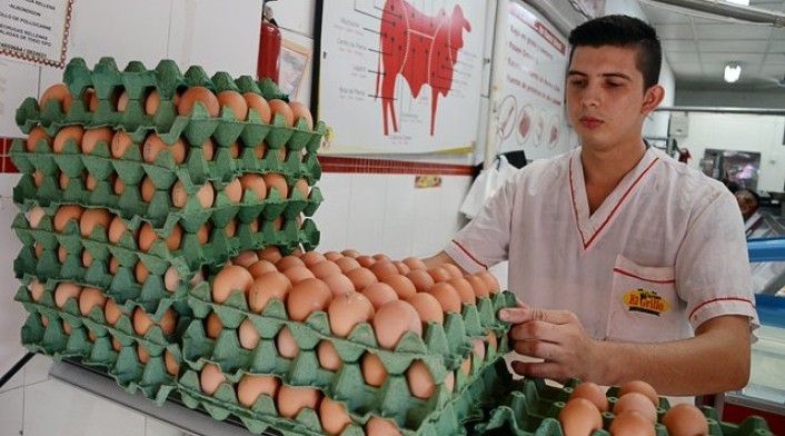 Nuevos requisitos para importar aves y huevos desde USA