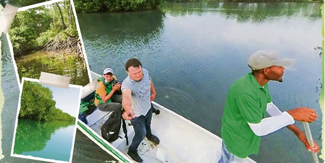 La alternativa para rescatar la Ciénaga de la Leche en Tolú