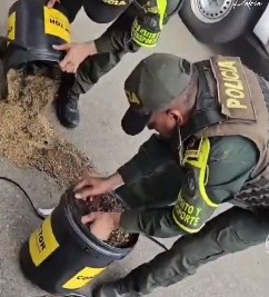 En controles se incauta marihuana que era transportada como encomienda que venía desde Medellín con destino a Montería