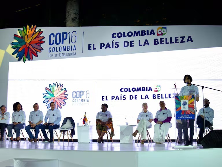 Cali lanzó oficialmente la imagen de la COP16